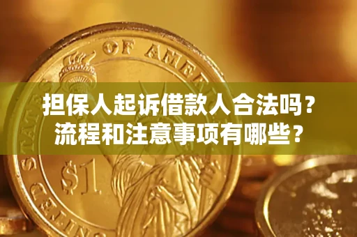 北京担保人起诉借款人合法吗？流程和注意事项有哪些？