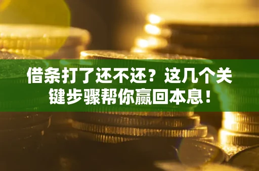 北京借条打了还不还？这几个关键步骤帮你赢回本息！