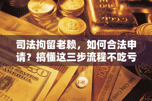 北京司法拘留老赖，如何合法申请？搞懂这三步流程不吃亏！