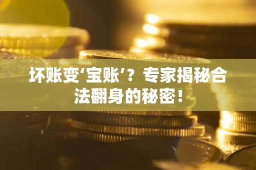 北京坏账变‘宝账’？专家揭秘合法翻身的秘密！