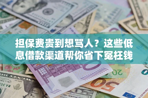 北京担保费贵到想骂人？这些低息借款渠道帮你省下冤枉钱