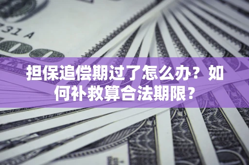 北京担保追偿期过了怎么办？如何补救算合法期限？