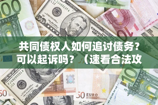 北京共同债权人如何追讨债务？可以起诉吗？（速看合法攻略）