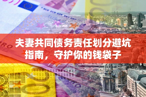北京夫妻共同债务责任划分避坑指南，守护你的钱袋子