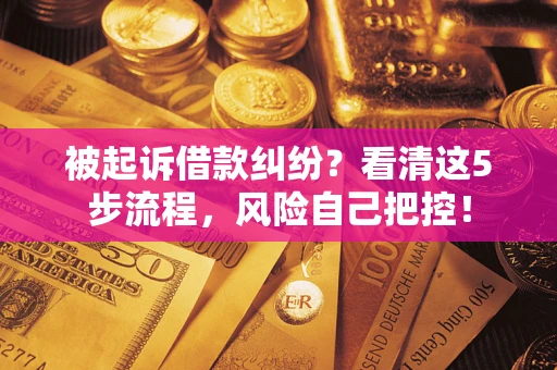 北京被起诉借款纠纷？看清这5步流程，风险自己把控！
