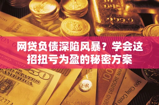 北京网贷负债深陷风暴？学会这招扭亏为盈的秘密方案